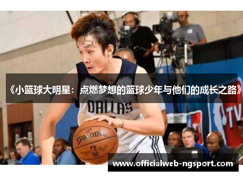 《小篮球大明星：点燃梦想的篮球少年与他们的成长之路》