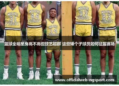 篮球全明星身高不高但技艺超群 这些矮个子球员如何征服赛场