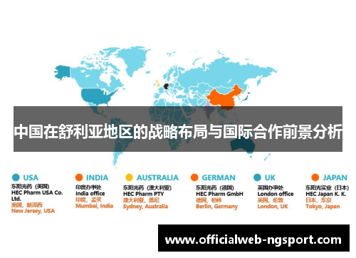 中国在舒利亚地区的战略布局与国际合作前景分析