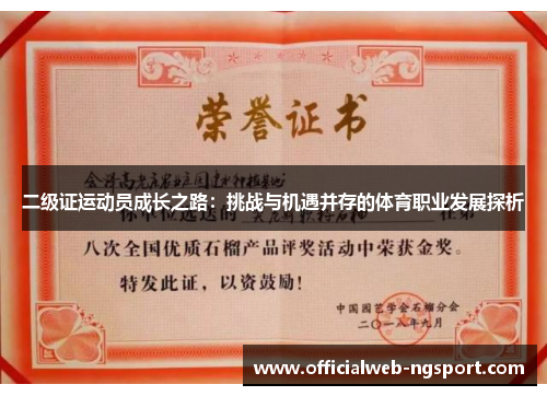二级证运动员成长之路：挑战与机遇并存的体育职业发展探析