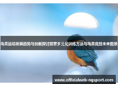鸟类运动发展趋势与创新探讨探索多元化训练方法与鸟类竞技未来前景